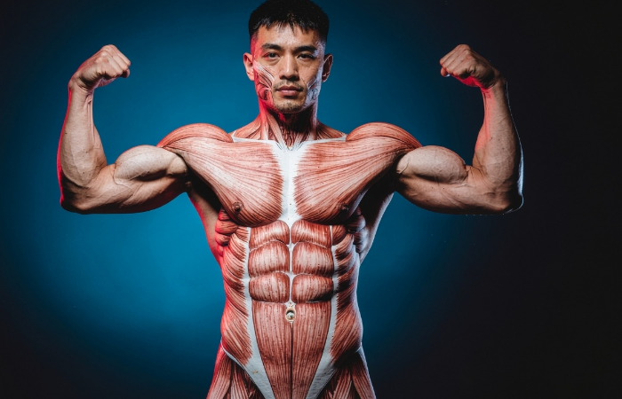 Bor Hem Kaslar Hem De Saçlar İçin İyi Bir Besin Maddesi Mi?