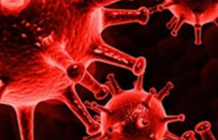 Kök Hücre: İçimizdeki İyileştirici Süpermen