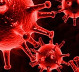 Kök Hücre: İçimizdeki İyileştirici Süpermen