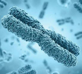 Saç ekimi sonrasında herkesin saçında aynı sonuçlar alınabilir mi?